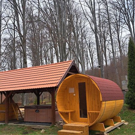 Sebesviz Panzio Bed & Breakfast Repashuta Luaran gambar