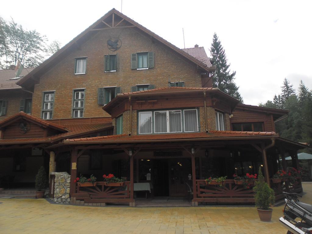 Sebesviz Panzio Bed & Breakfast Repashuta Bilik gambar