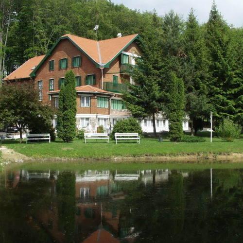 Sebesviz Panzio Bed & Breakfast Repashuta Luaran gambar