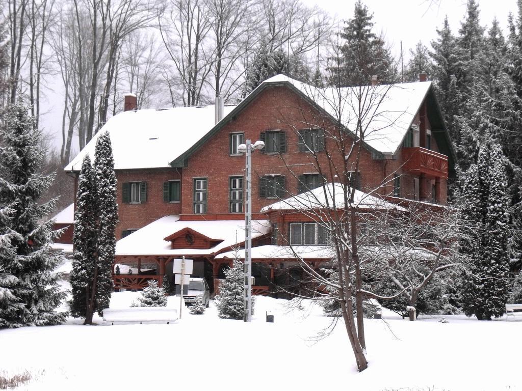Sebesviz Panzio Bed & Breakfast Repashuta Luaran gambar